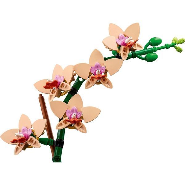 Конструктор Botanicals Маленька орхидея 274 деталей 2917770349674 фото